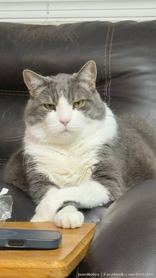Squeaky G. acting and role playing the cat mob boss. lol 😸