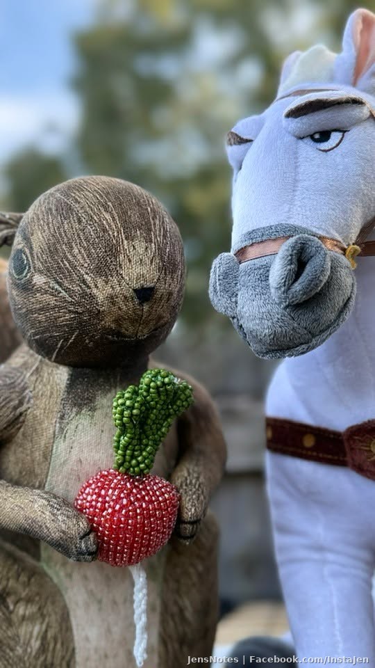 When a photographer misses having actual subjects to photograph.... introducing Maximus, my faithful equine companion of 13 years and his new life partner Richard