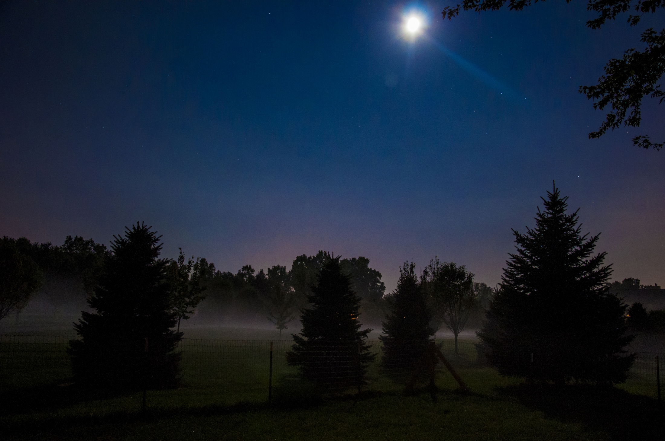 DSC_0017_1
