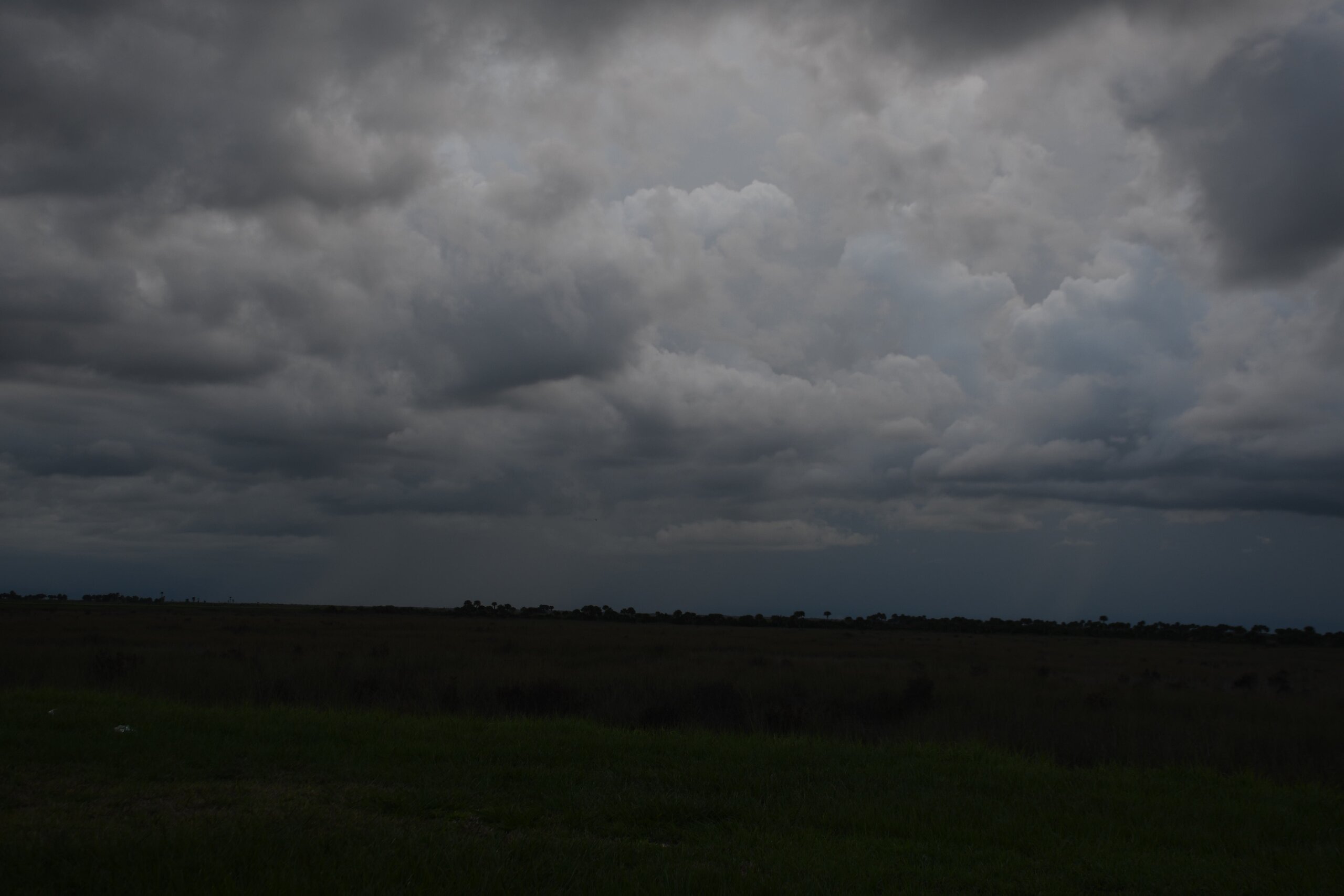 DSC_0473