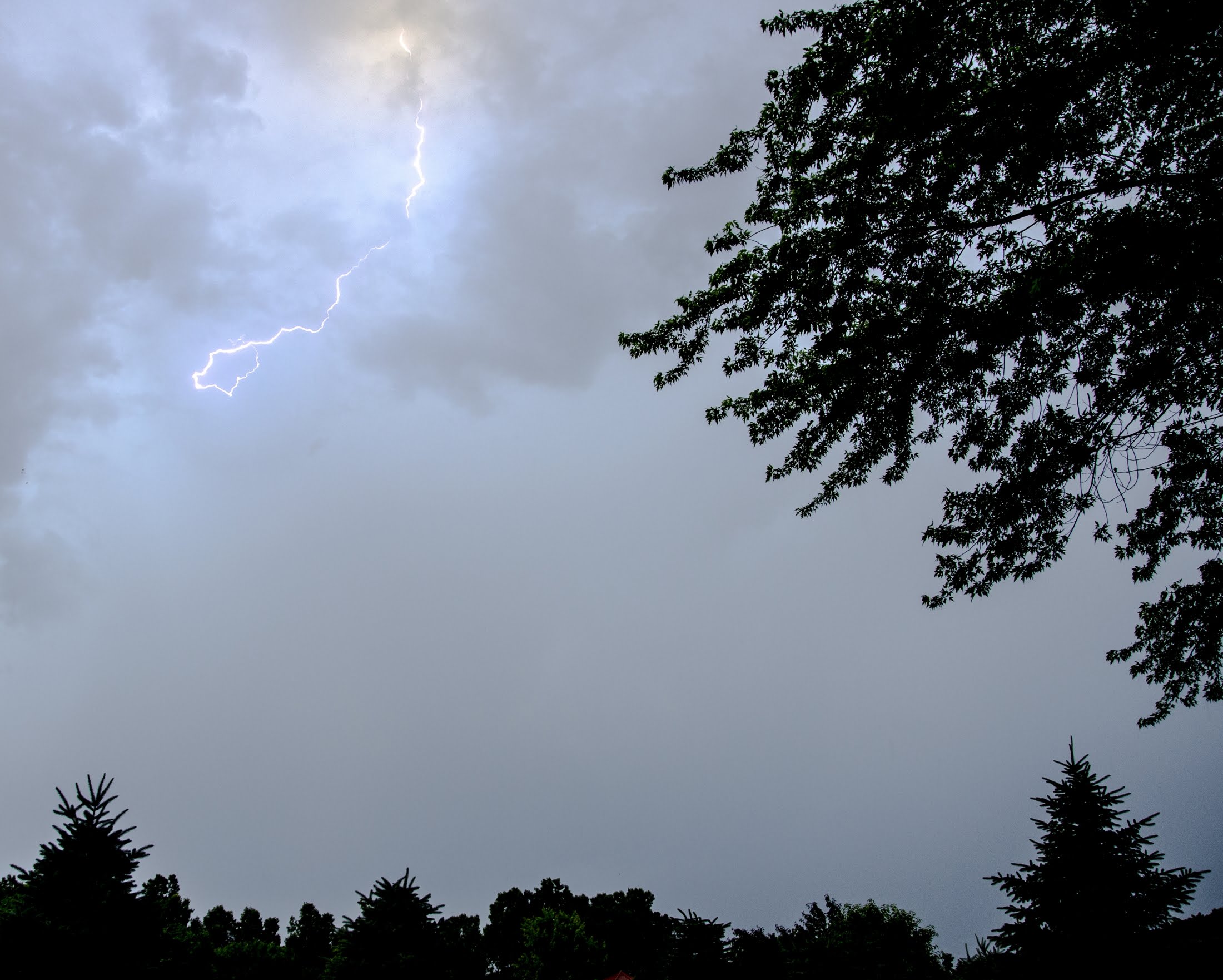 DSC_6602_1