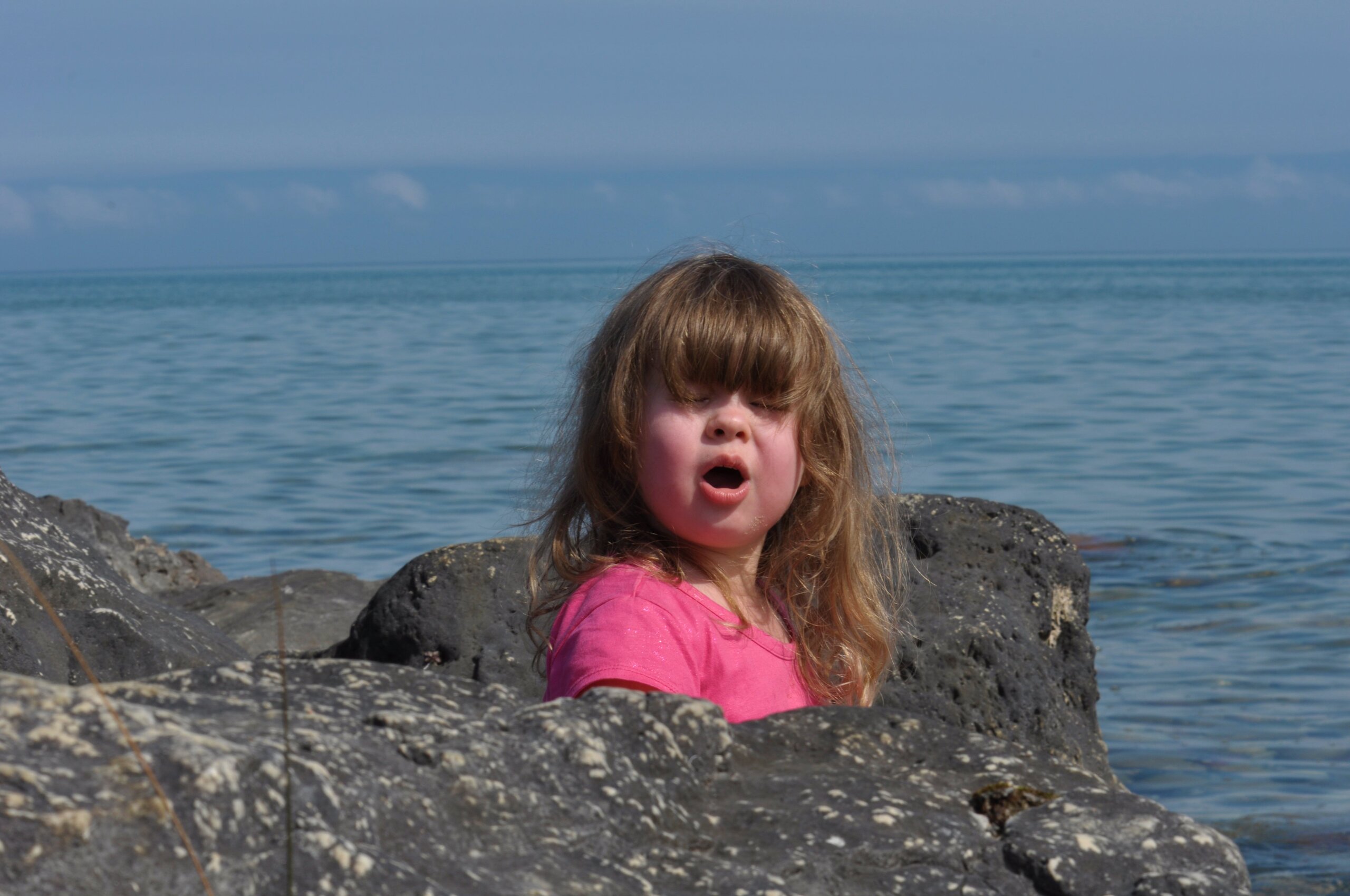 hammond_bay2012 (71)