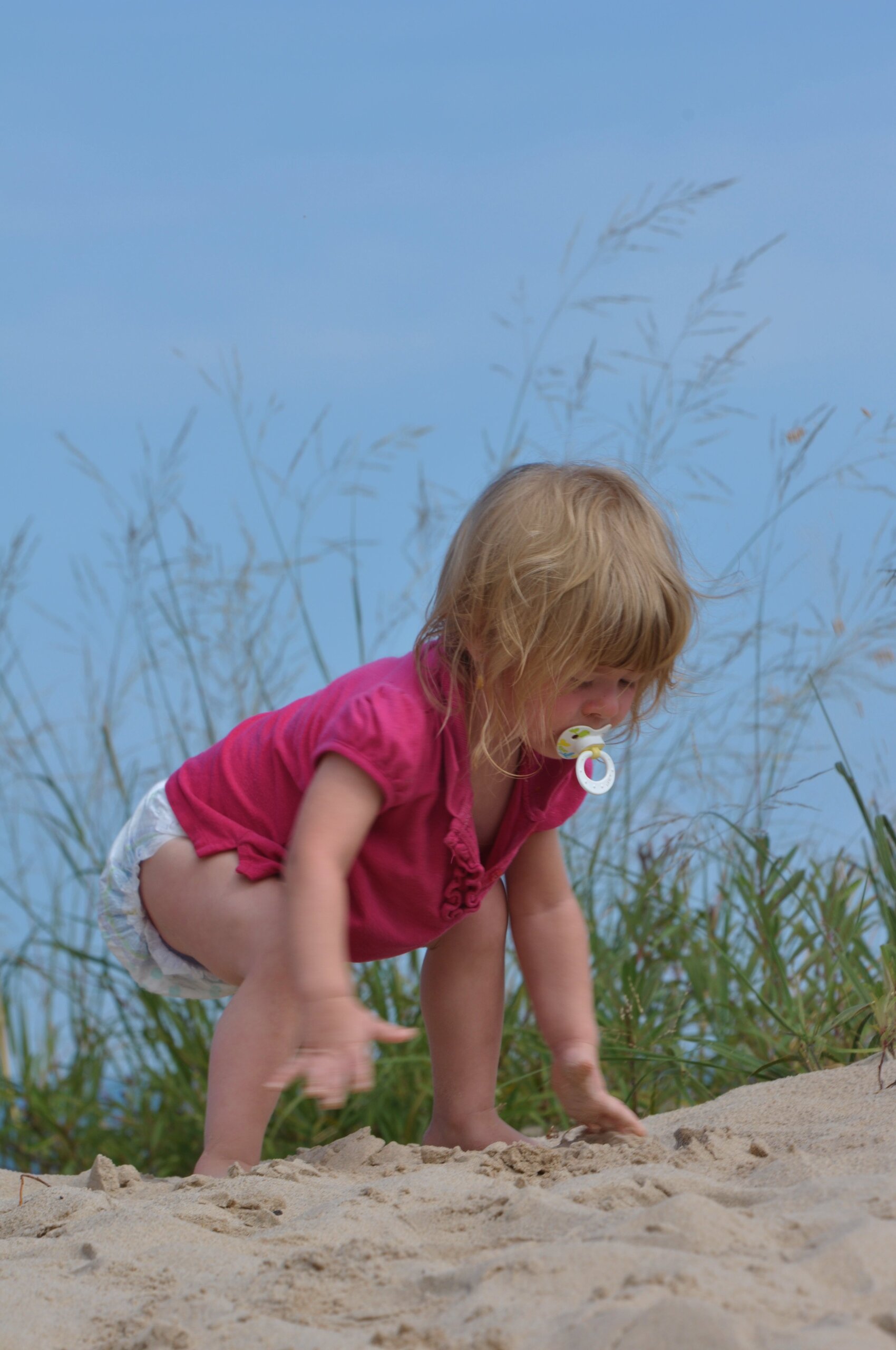 hoeft_state_park2012 (13)
