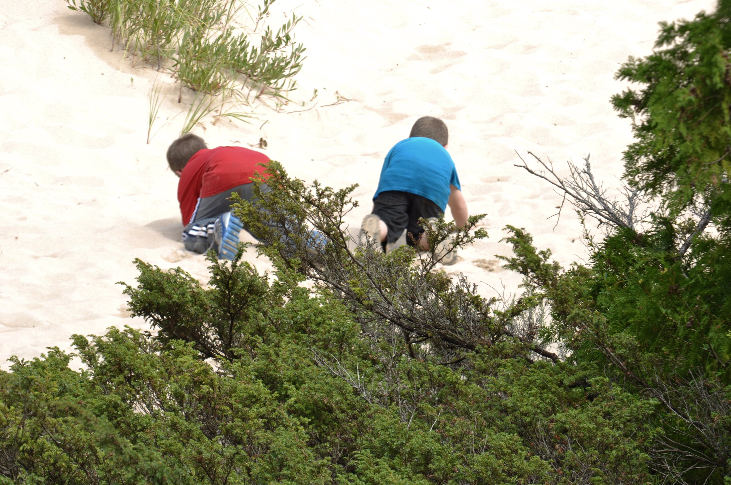 hoeft_state_park2012 (3)