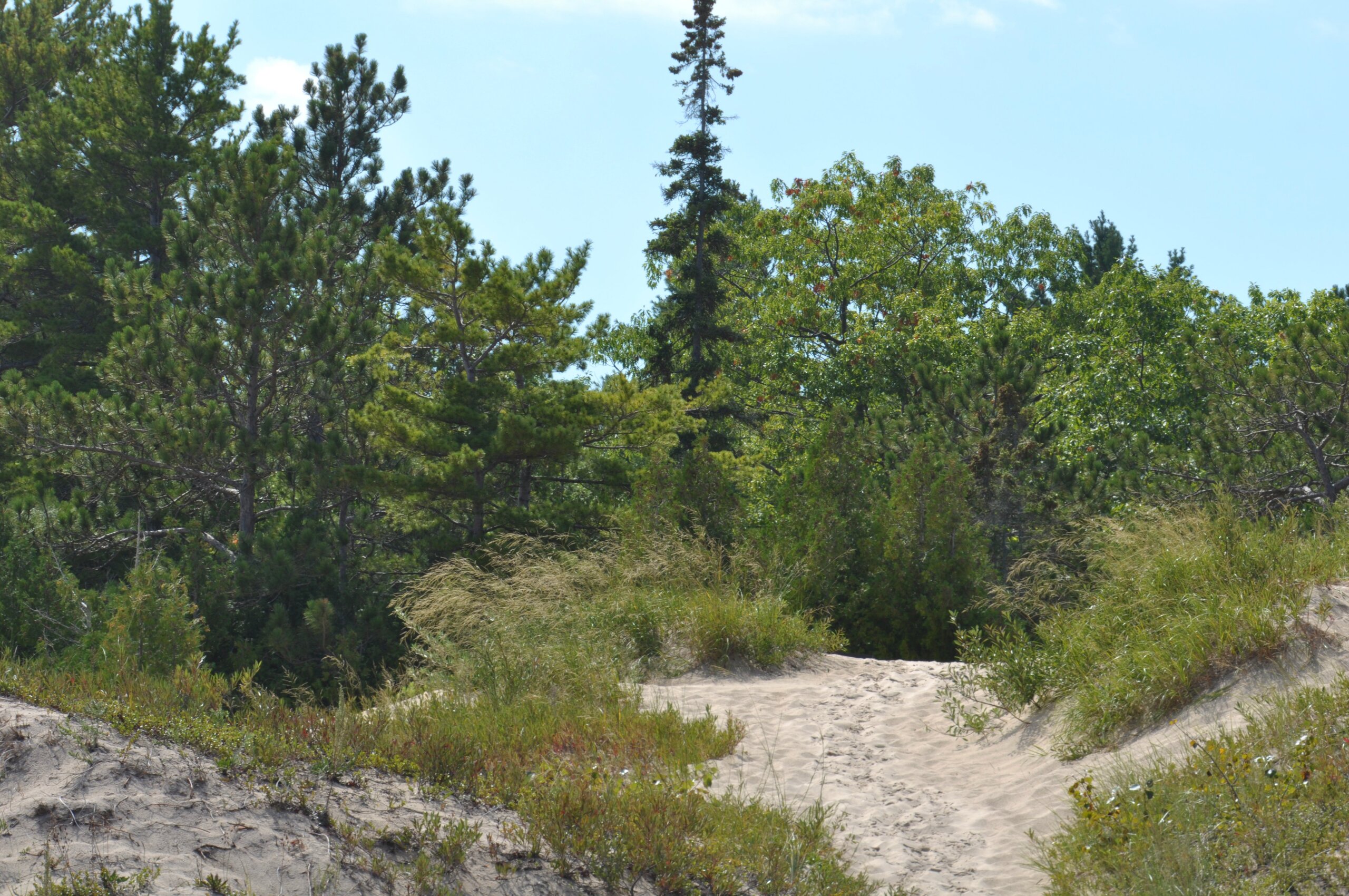 hoeft_state_park2012 (49)