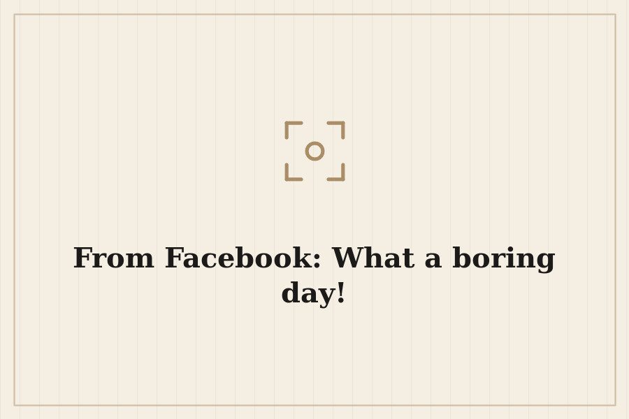 From Facebook: What a boring day! — cover