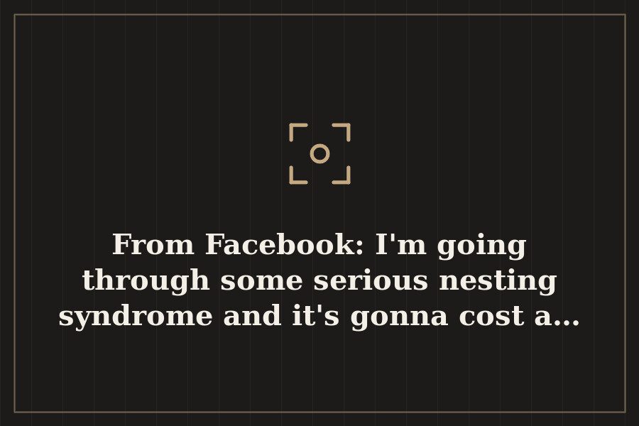From Facebook: I'm going through some serious nesting syndrome and it's gonna cost a… — cover