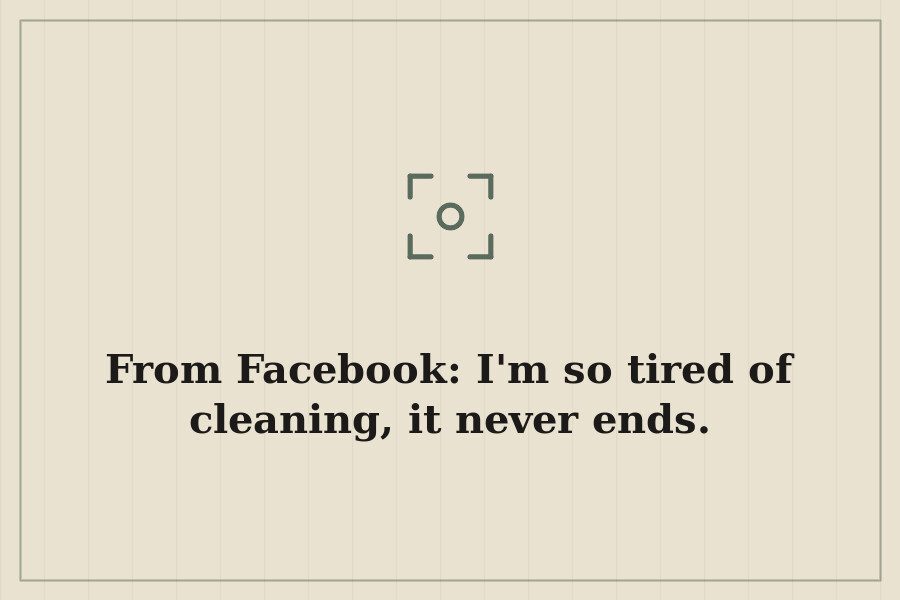 From Facebook: I'm so tired of cleaning, it never ends. — cover
