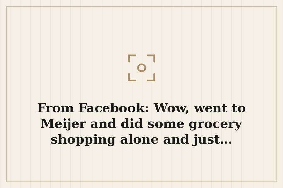 From Facebook: Wow, went to Meijer and did some grocery shopping alone and just… — cover