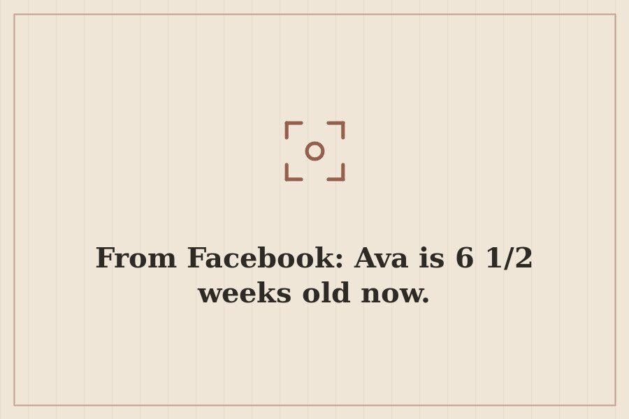 From Facebook: Ava is 6 1/2 weeks old now. — cover
