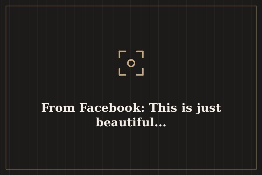 From Facebook: This is just beautiful... — cover
