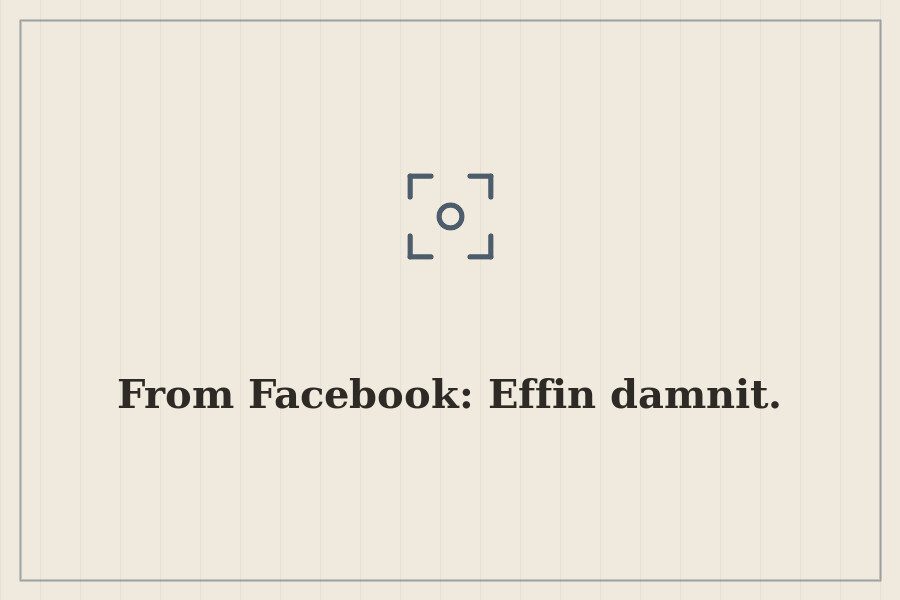 From Facebook: Effin damnit. — cover