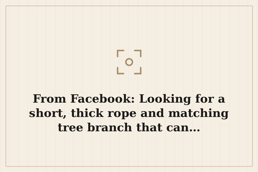 From Facebook: Looking for a short, thick rope and matching tree branch that can… — cover