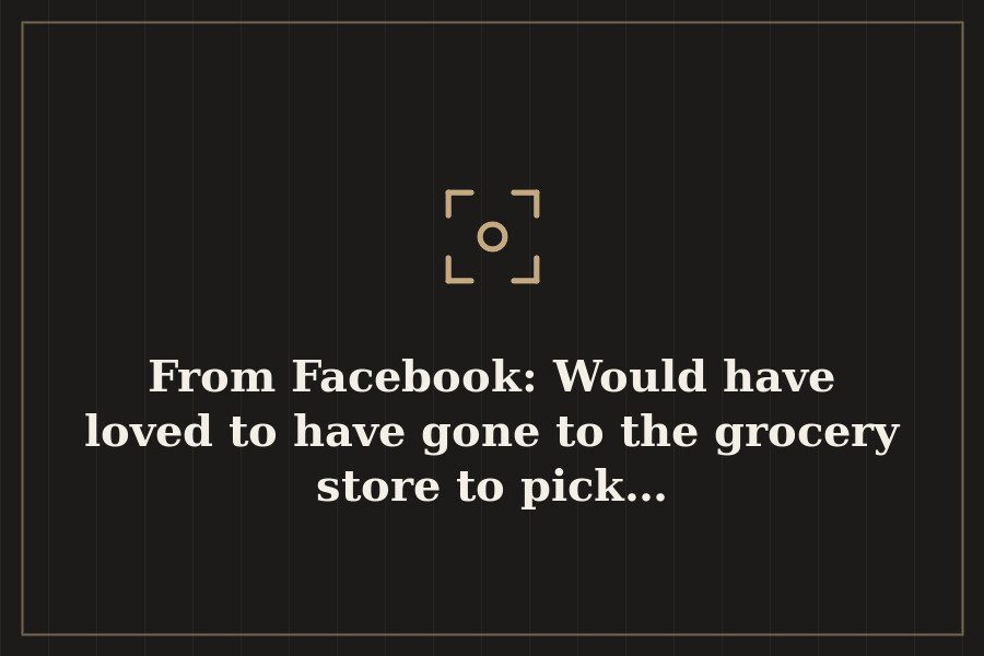 From Facebook: Would have loved to have gone to the grocery store to pick… — cover