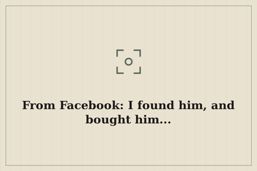 From Facebook: I found him, and bought him... — cover