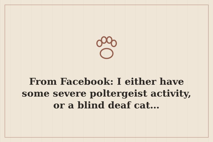 From Facebook: I either have some severe poltergeist activity, or a blind deaf cat… — cover
