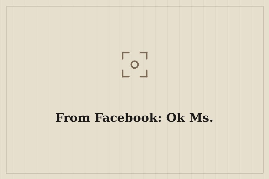 From Facebook: Ok Ms. — cover