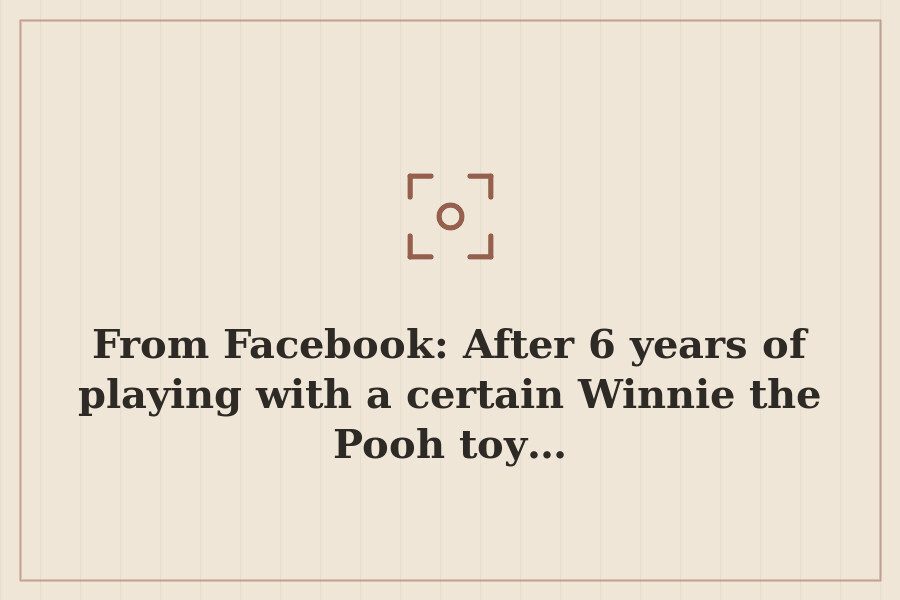From Facebook: After 6 years of playing with a certain Winnie the Pooh toy… — cover
