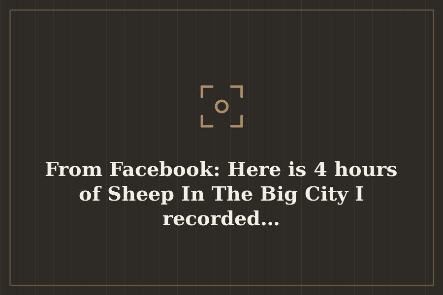 From Facebook: Here is 4 hours of Sheep In The Big City I recorded… — cover