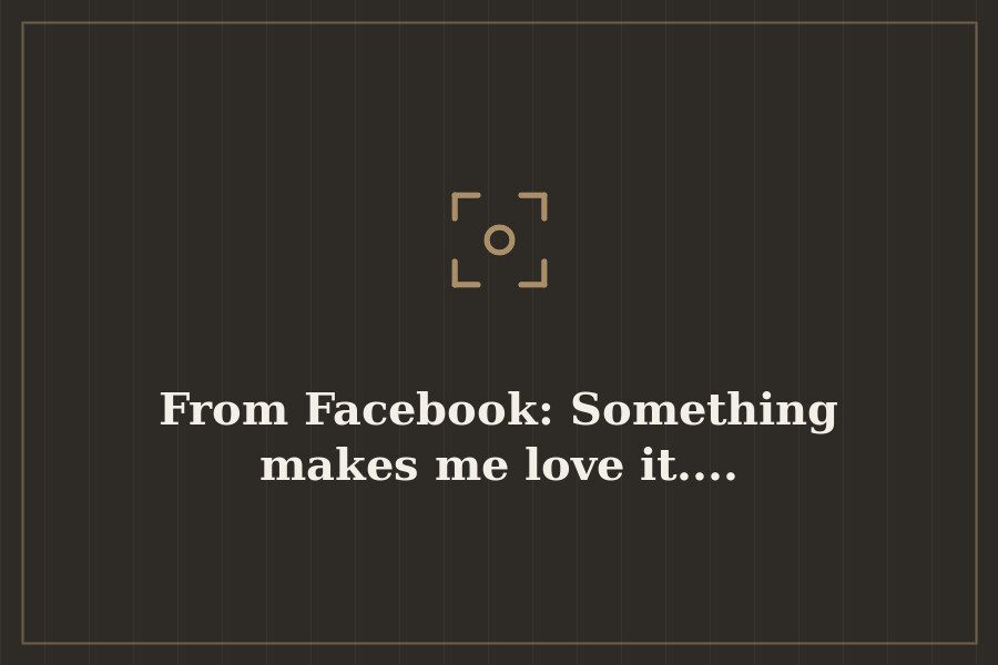 From Facebook: Something makes me love it.... — cover