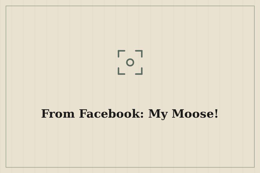 From Facebook: My Moose! — cover