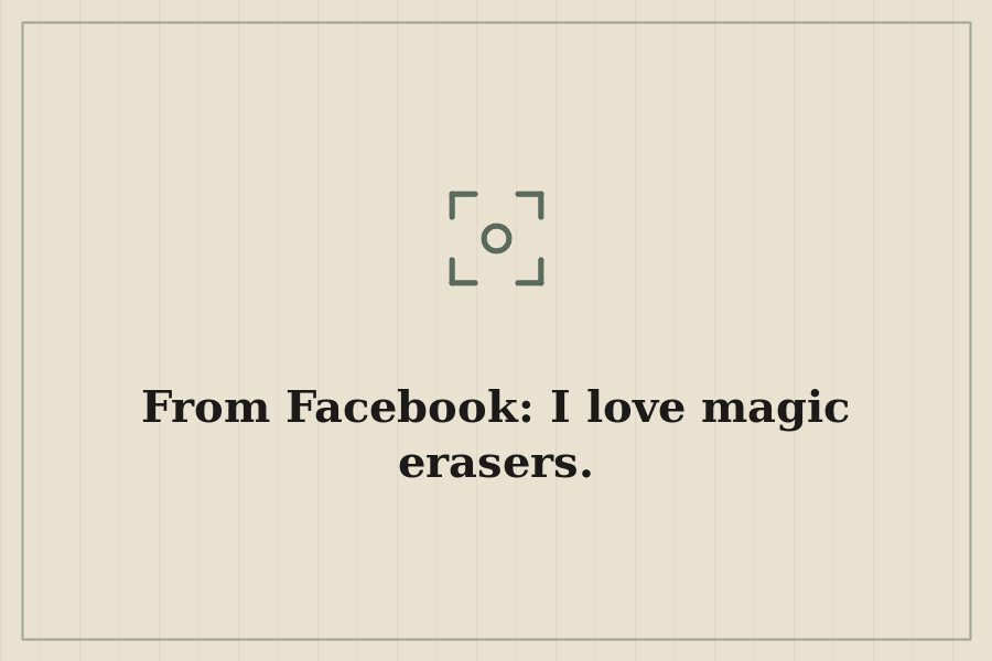 From Facebook: I love magic erasers. — cover