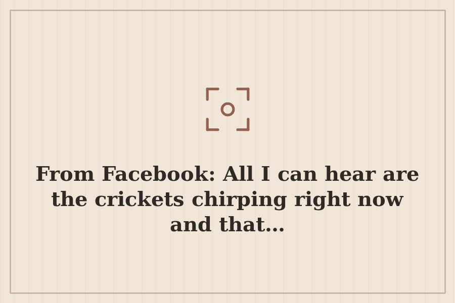 From Facebook: All I can hear are the crickets chirping right now and that… — cover