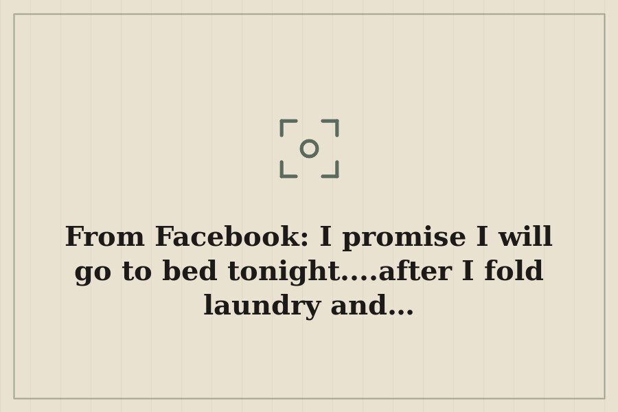 From Facebook: I promise I will go to bed tonight....after I fold laundry and… — cover