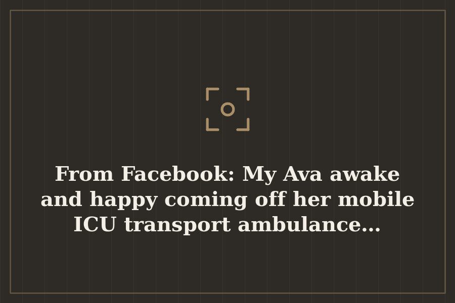 From Facebook: My Ava awake and happy coming off her mobile ICU transport ambulance… — cover