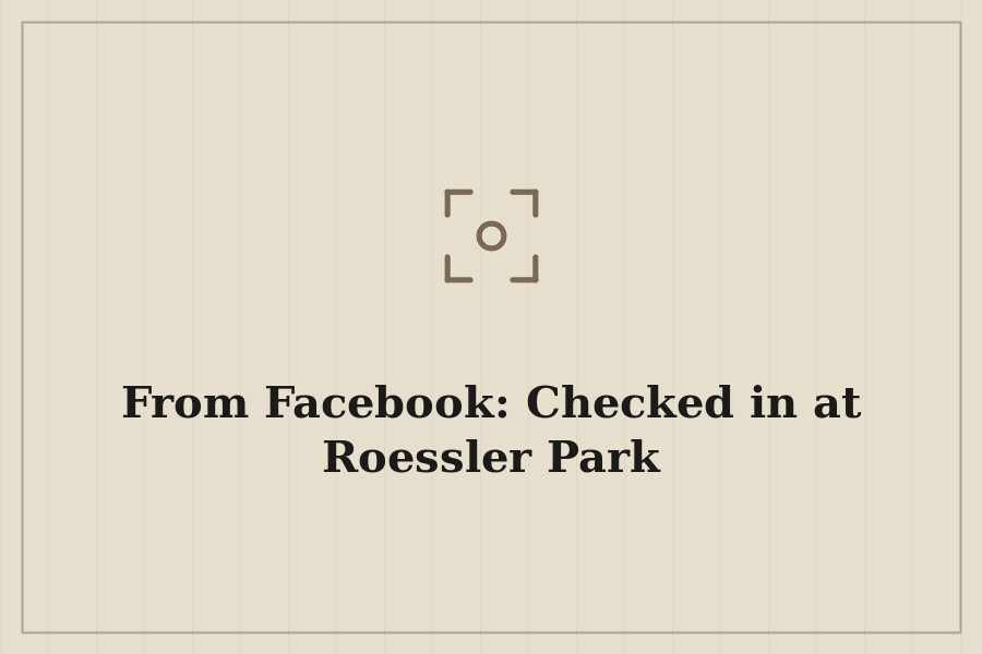 From Facebook: Checked in at Roessler Park — cover