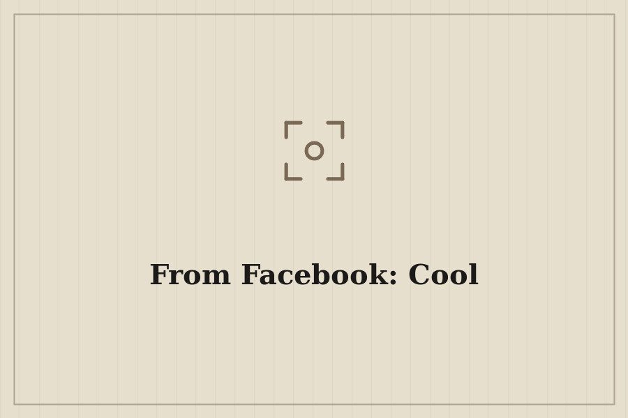 From Facebook: Cool — cover