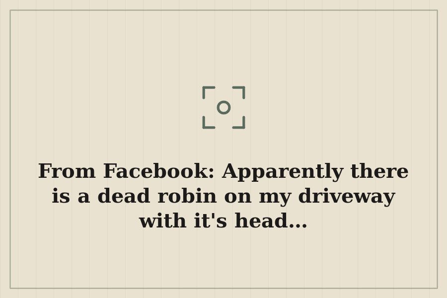 From Facebook: Apparently there is a dead robin on my driveway with it's head… — cover