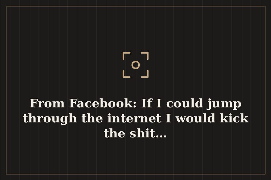 From Facebook: If I could jump through the internet I would kick the shit… — cover
