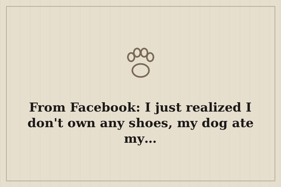 From Facebook: I just realized I don't own any shoes, my dog ate my… — cover