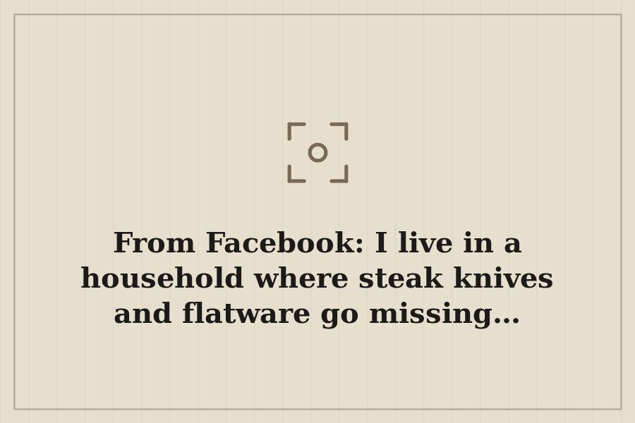 From Facebook: I live in a household where steak knives and flatware go missing… — cover
