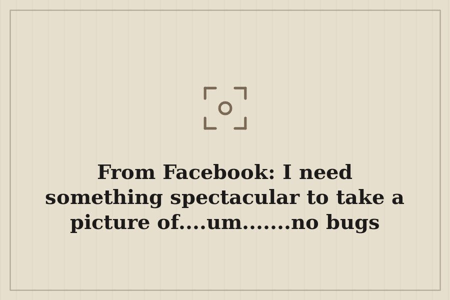 From Facebook: I need something spectacular to take a picture of....um.......no bugs aroun — cover