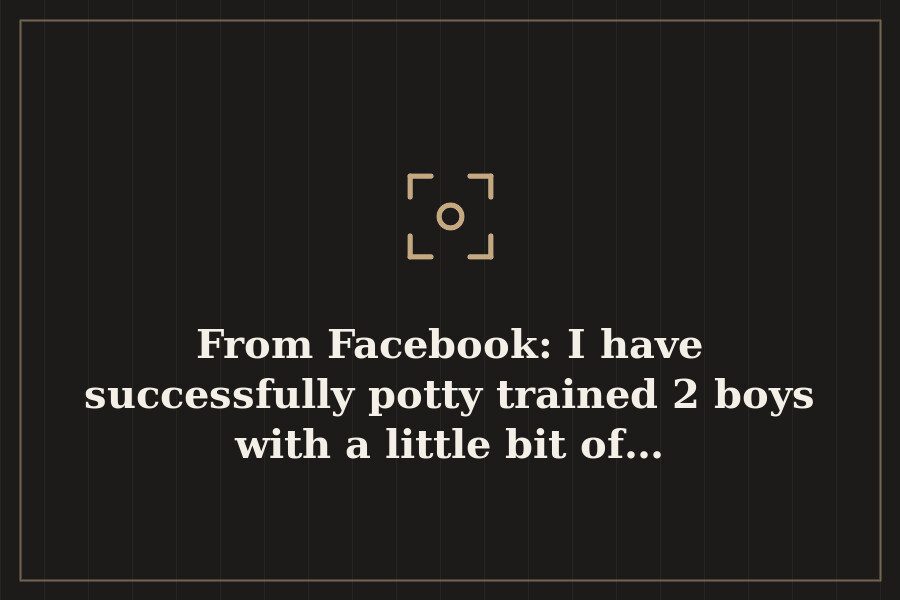 From Facebook: I have successfully potty trained 2 boys with a little bit of… — cover