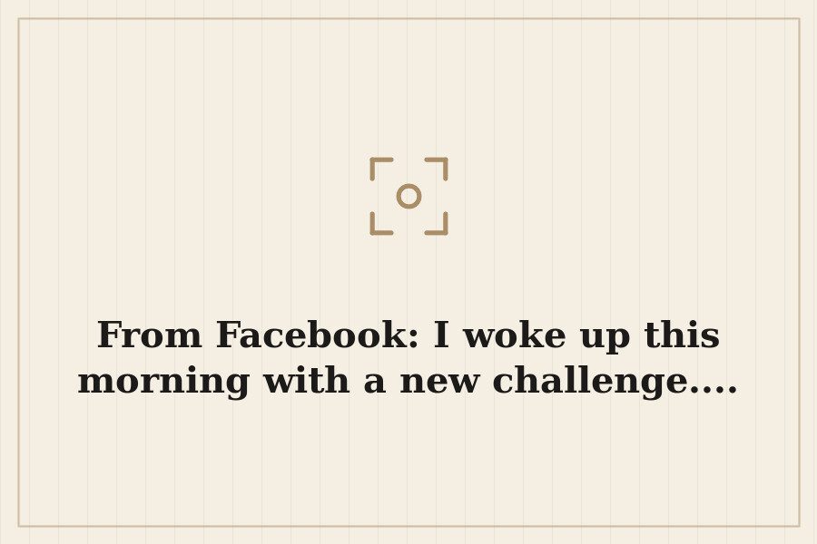 From Facebook: I woke up this morning with a new challenge.... — cover