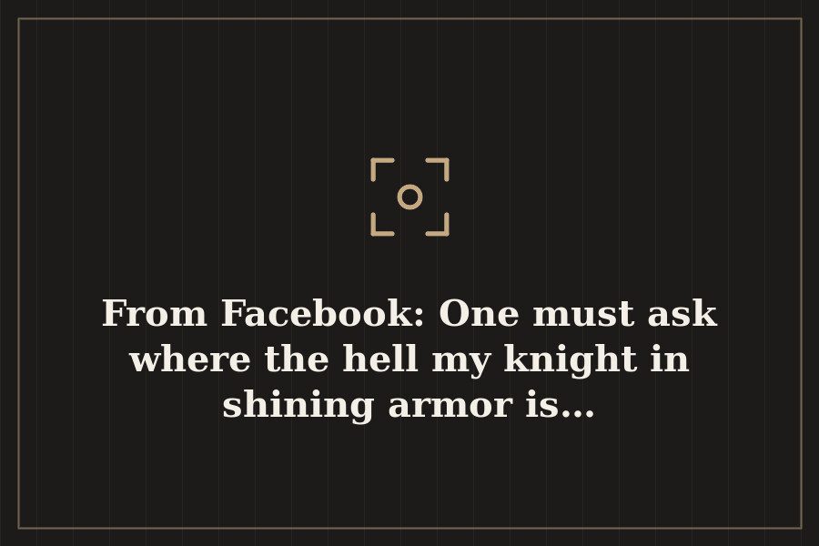 From Facebook: One must ask where the hell my knight in shining armor is… — cover