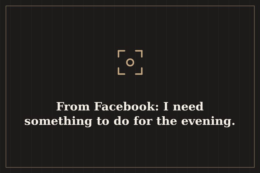 From Facebook: I need something to do for the evening. — cover