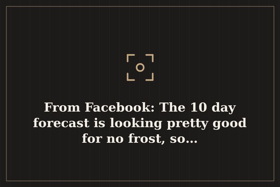 From Facebook: The 10 day forecast is looking pretty good for no frost, so… — cover