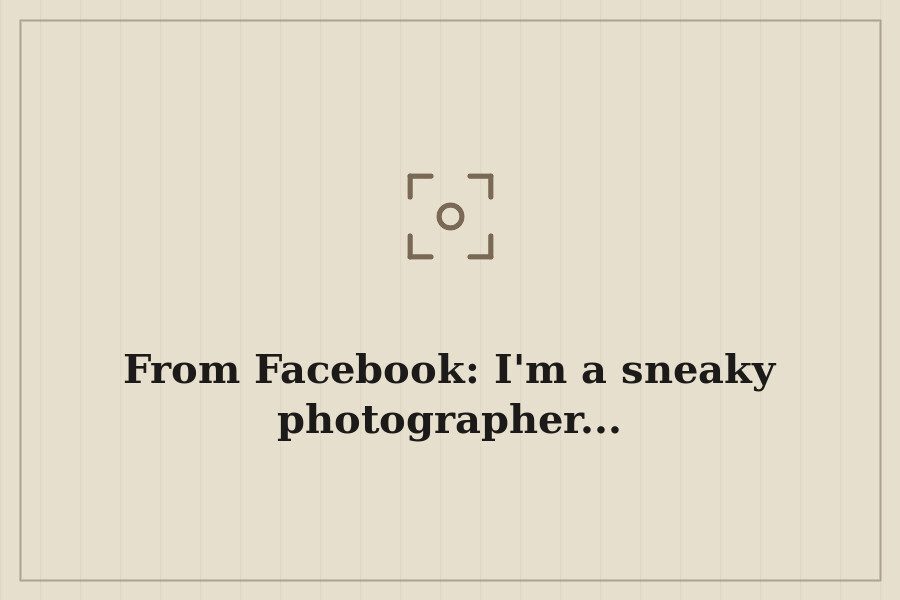 From Facebook: I'm a sneaky photographer... — cover