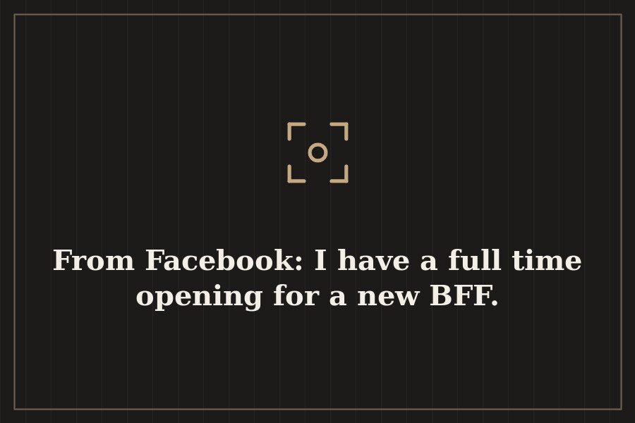 From Facebook: I have a full time opening for a new BFF. — cover