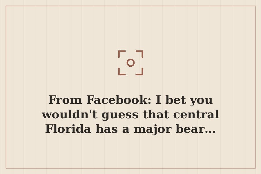 From Facebook: I bet you wouldn't guess that central Florida has a major bear… — cover