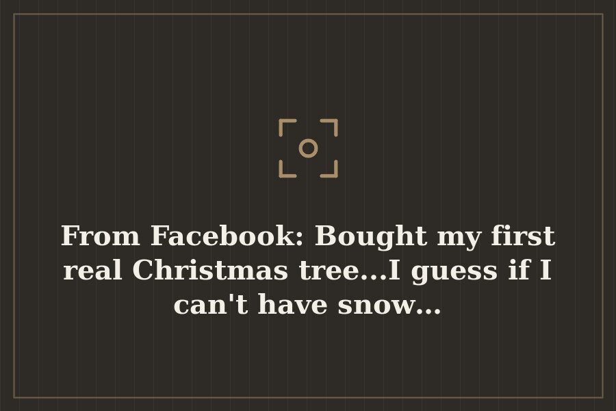 From Facebook: Bought my first real Christmas tree...I guess if I can't have snow… — cover