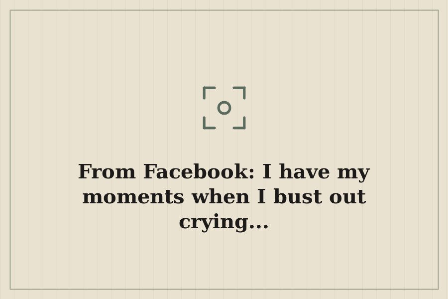 From Facebook: I have my moments when I bust out crying... — cover