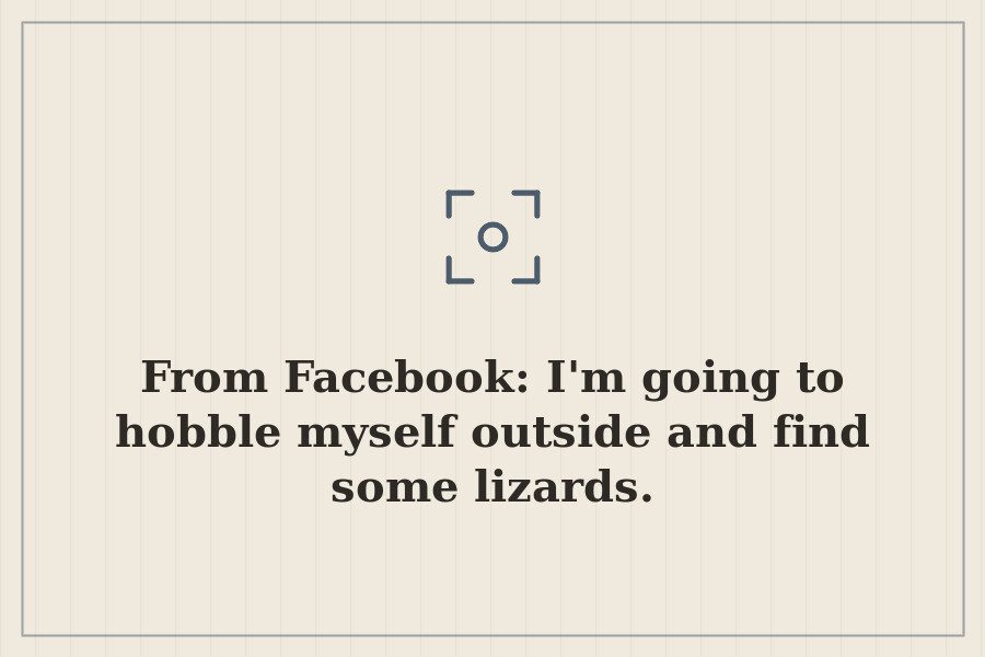From Facebook: I'm going to hobble myself outside and find some lizards. — cover