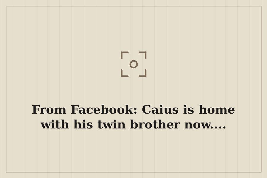 From Facebook: Caius is home with his twin brother now.... — cover