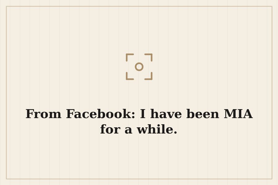 From Facebook: I have been MIA for a while. — cover