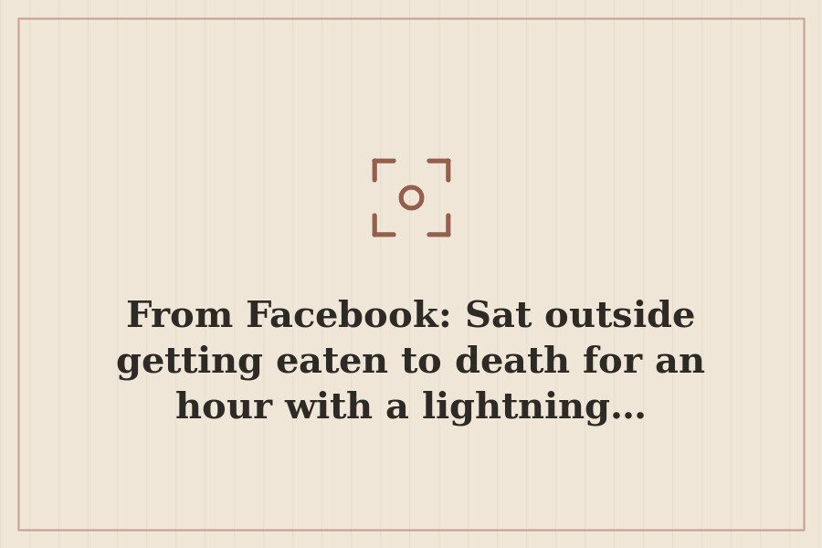 From Facebook: Sat outside getting eaten to death for an hour with a lightning… — cover